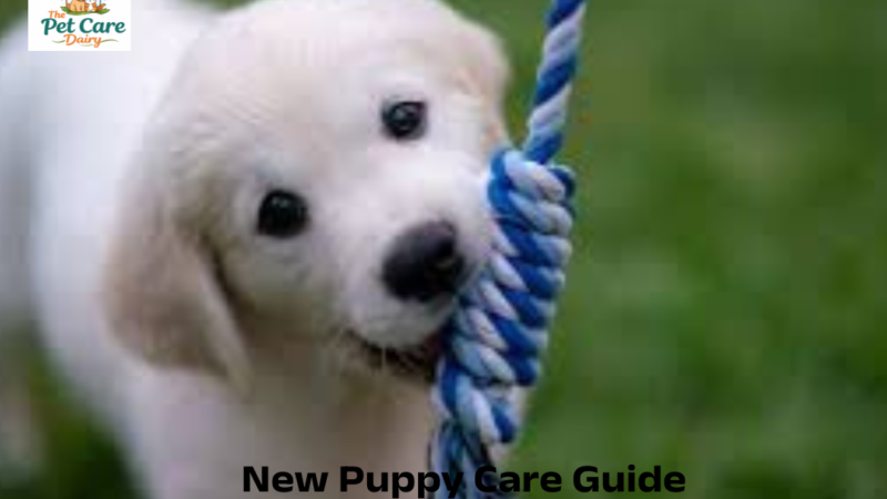 New Puppy Care Guide
