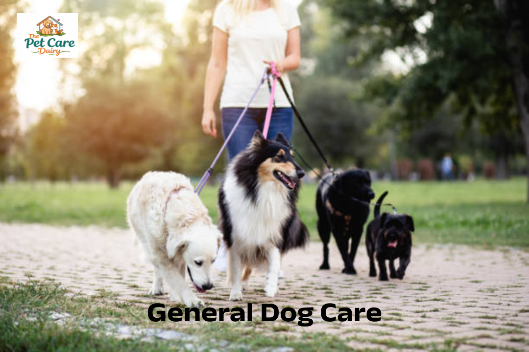 General Dog Care