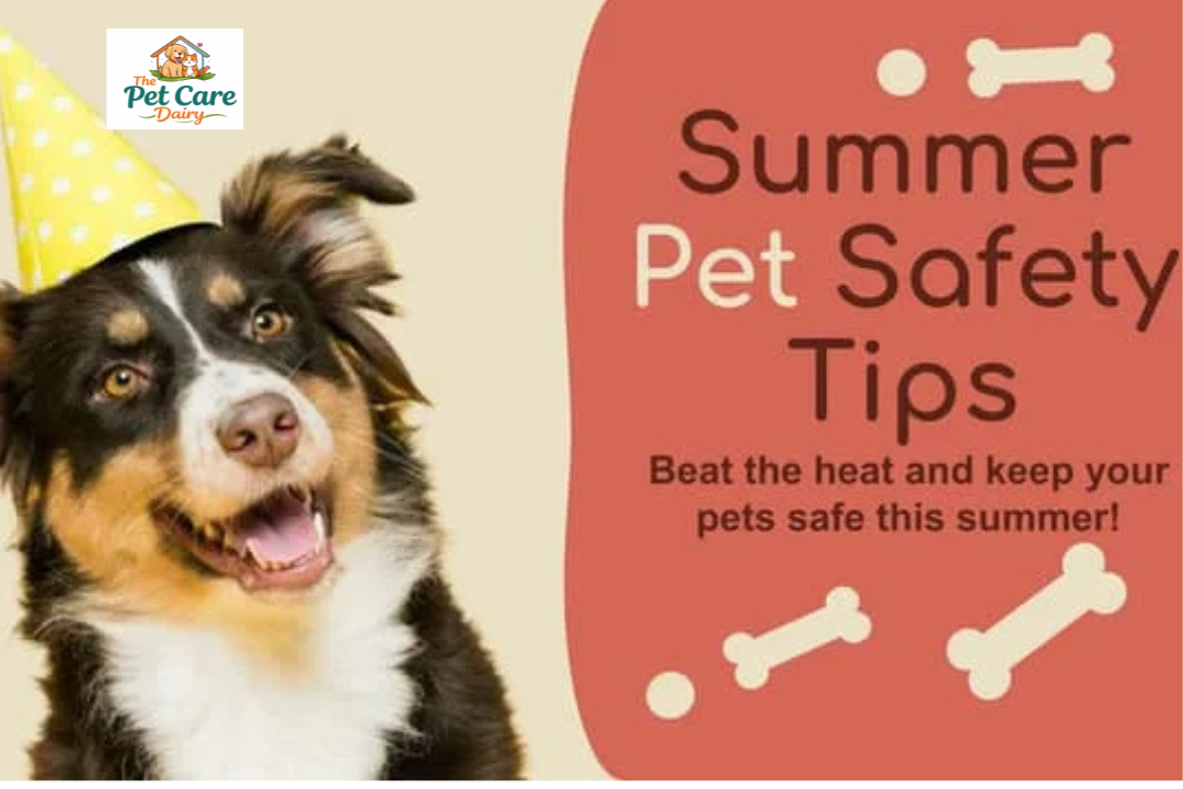 Summer Animal Safety Tips