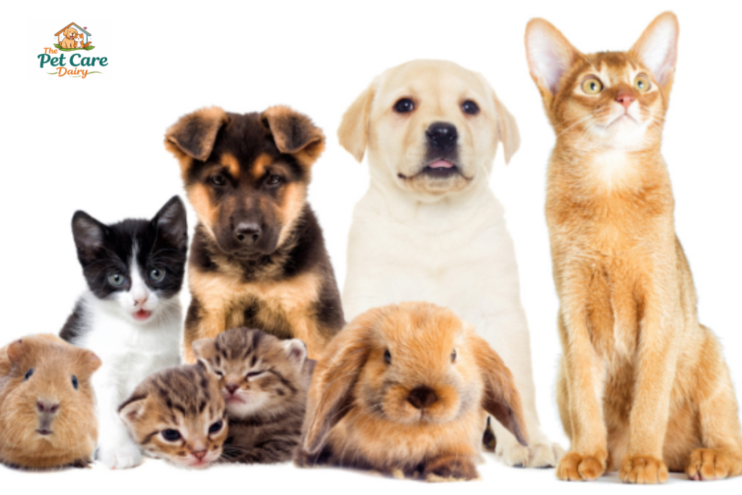 Pet Care Trends of 2026