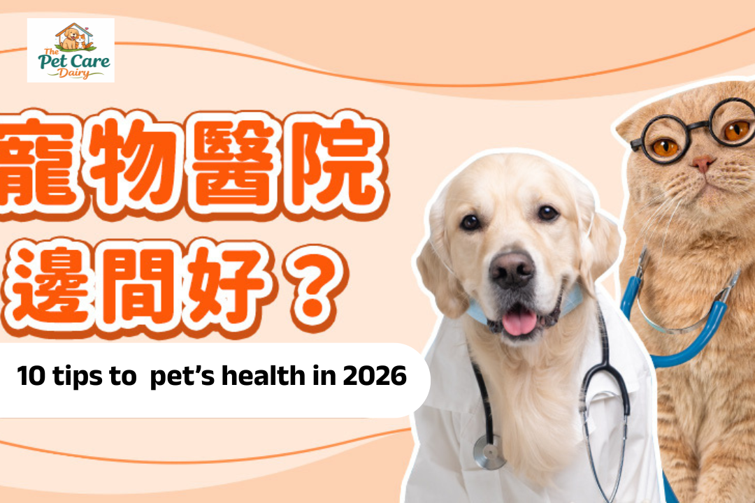 pet’s health in 2026