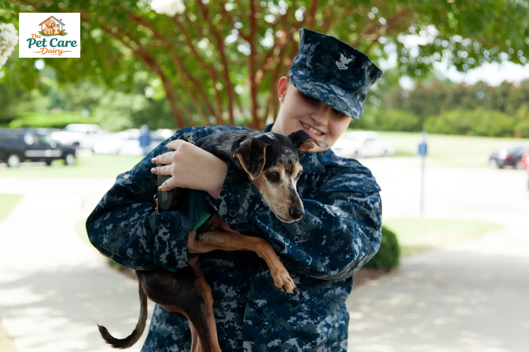 Military Dog Care in 2026: Complete Guide to Caring for Working Dogs