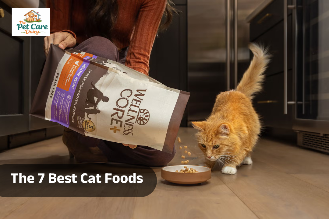 The 7 Best Cat Foods To Keep Your Pet Healthy, According To Vets