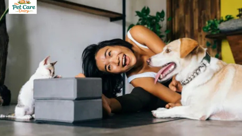 Paw-specting 2026: What Are APAC’s Pet Parents Really Planning Next?